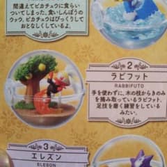 ポケモン テラリウムコレクションEX ガラル地方編2 ラビフットのサムネイル