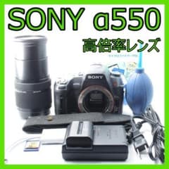 家族旅行の想い出に❤️SONY α550✨高倍率レンズセット✨️すぐ使える