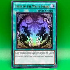 遊戯王 英語 白き森のいいつたえ 1st INFO ウルトラレア 海外 ウル