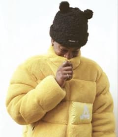 即完品Palace Polartec High Loft Puffa - メルカリ