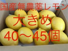 60国産瀬戸内レモン 農薬不使用 40〜45個 - メルカリ