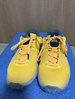 Nike Ja 1 イエロー バスケットボールシューズ 27.5cmのサムネイル