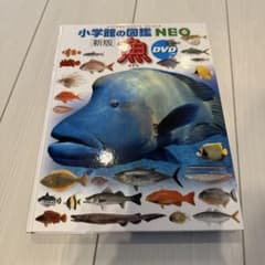 小学校の図鑑 NEO 新版 魚 DVD付きのサムネイル