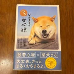 柴犬まるのワン若心経のサムネイル