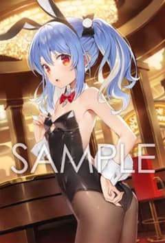 ホロライブ 兎田ぺこら B2タペストリー - メルカリ