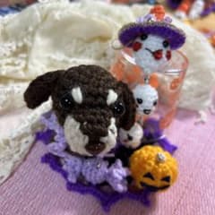 編みぐるみ♡ハロウィン♡ミニチュアダックス♡ハンドメイド ハロウィン編みぐるみ犬②とデコレーションセット❤︎チョコたん
