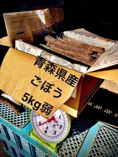５ｋｇ（弱）！ごぼう（土付き）日本一の青森県産！規格外・カット品※サイズ混合のサムネイル