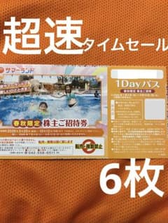 超速　ネコポス　春秋限定　サマーランド　プール　チケット　フリーパス　6枚rmのサムネイル