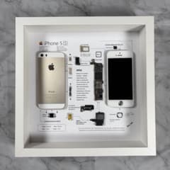 超特価】iPhone 5S GOLD 標本アート ボックスフレーム仕様 - メルカリ