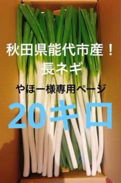 やほーページ 秋田県能代市産！ 長ネギ 20キロ① 土曜日発送 やほー様専用ページ 秋田県能代市産！ 長ネギ20キロ 水曜日発送 - メルカリ