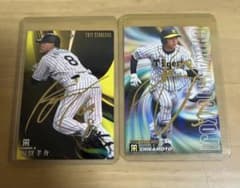 阪神タイガース プロ野球カード まとめのサムネイル