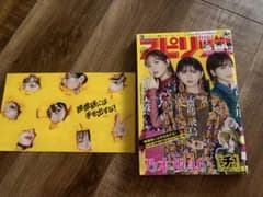 ぽ*こ様 週刊ビッグコミックスピリッツ 2020年42・43号 付録付き