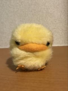 REBORN! 히바드 봉제 인형