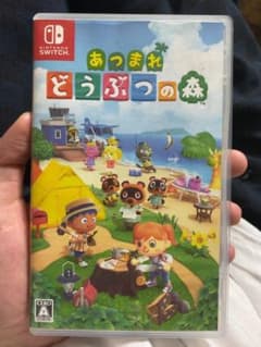 あつまれ どうぶつの森のサムネイル