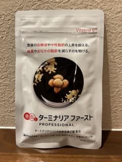 【新品未開封】ビタブリッドジャパン ターミナリアファースト 120粒のサムネイル