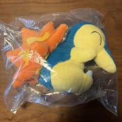 一番くじ ポケモン 30周年 ヒノアラシ ぬいぐるみ - メルカリ