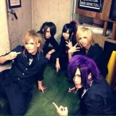 イオリ様専用 Royz DVDのサムネイル