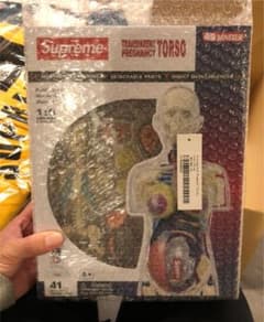 supreme 人体模型 female‼️のサムネイル