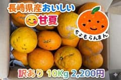 長崎県産訳あり甘夏 10Kg 2,200円　送料込みのサムネイル