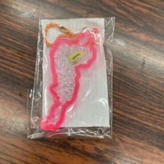 S*o様 【新品】琵琶湖アクリルキーホルダー かがみの里/近江牛/滋賀県のサムネイル