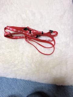 猫 お散歩胴輪 鈴付きのサムネイル