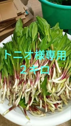 トニオ様専用２キロのサムネイル