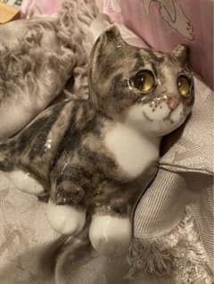 ウィンスタンレイ・キャット(ケンジントン・キャット)サイズ 1 ☆子猫のサムネイル