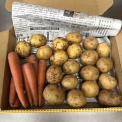 無農薬 ミニにんじん&ミニじゃがいものサムネイル