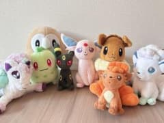 ポケモンセンター限定　ぬいぐるみ 8体まとめ売り ブラッキー エーフィ イーブイのサムネイル