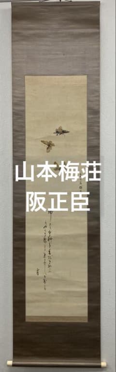 山本梅荘／画 ： 阪正臣／賛 【蝶】 絹本　掛軸 山本梅荘／画 ： 阪正臣／賛 【蝶】 絹本 掛軸 - メルカリ