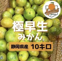 静岡県産【極早生みかん】高林　10キロ サイズ混合　訳ありのサムネイル