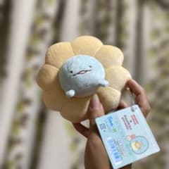 San-X 스미코구라시 미스드 콜라보 트위터 봉제인형
