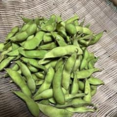 新鮮 黒豆枝豆　　さやのみ500gのサムネイル