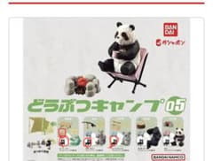 動物キャンプ5のサムネイル