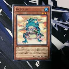粋カエルのサムネイル