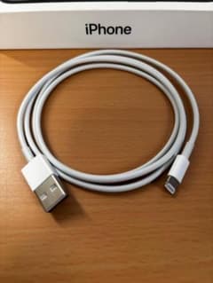 신품 미사용 iPhone Apple 순정 라이트닝 케이블 유형 A 1