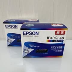 EPSON 純正 インクカートリッジ IB10CL4A 2個セットのサムネイル