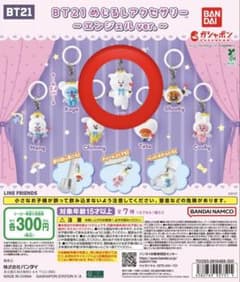 [For Kai-san only] BT21 Marking Accessory RJ