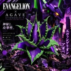 【初号機アガベ】アガベ チタノタ風 オリジナルフィギュアのサムネイル