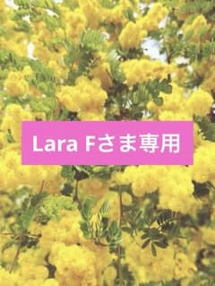 ミモザ 箱詰め 40cm前後 ♡のサムネイル