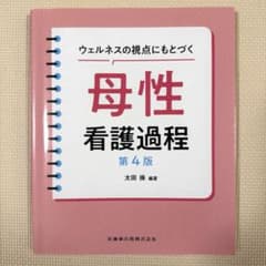 ウェルネスの視点にもとづく母性看護過程のサムネイル