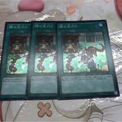 遊戯王 隣の芝刈り 3枚セットのサムネイル