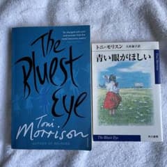 「The Bluest Eye」と「青い眼がほしい」のサムネイル