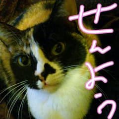 みはな様専用のサムネイル