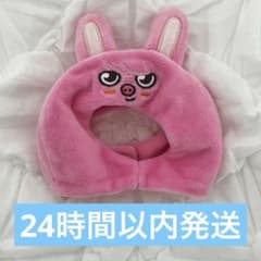 straykids skzoo ペンライトカバー トゥエッキ Dwaekki - メルカリ