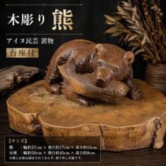 法螺貝＊ほら貝＊ホラ貝11個セット約15㎝ 宮古島産| Buyee日本代購服務