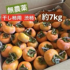 無農薬 渋柿 箱込み 7kg 種無し 干し柿用に枝付きです！ - メルカリ