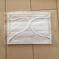 ※※パグ子様専用※※のサムネイル