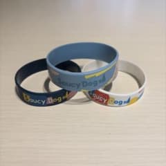 Saucy Dog ラバーバンド 3個セットのサムネイル