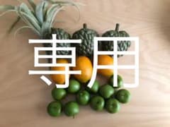 『きゅう様　専用』木製のフルーツのサムネイル